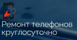 Логотип сервисного центра Профессор